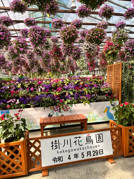 鳥だけでなく、植物も見どころ。