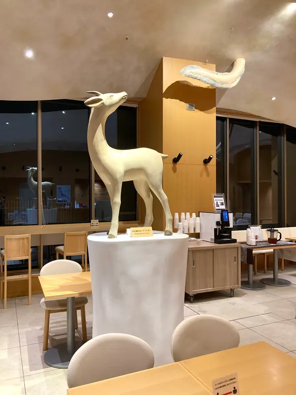 スポット内のおすすめ