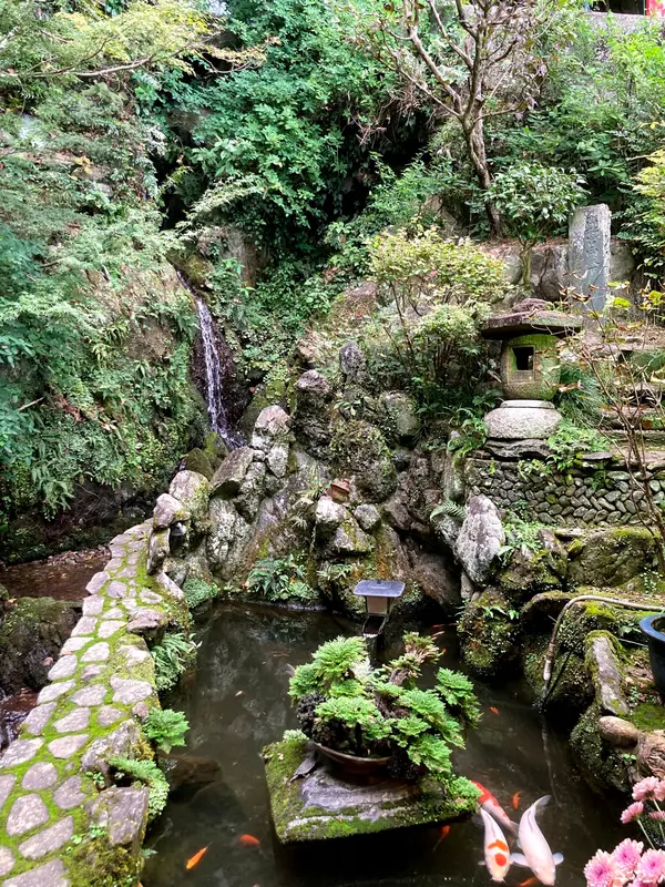 こんな景色が店内から見れます