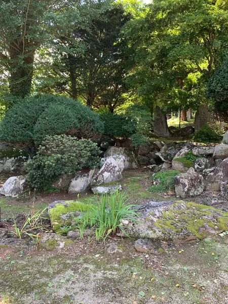 庭園
