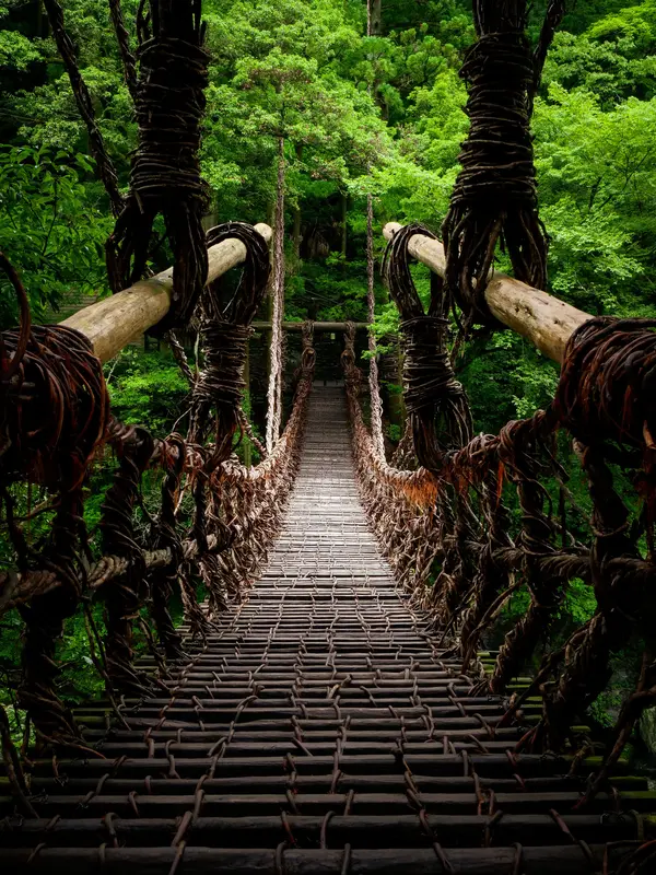 祖谷のかずら橋