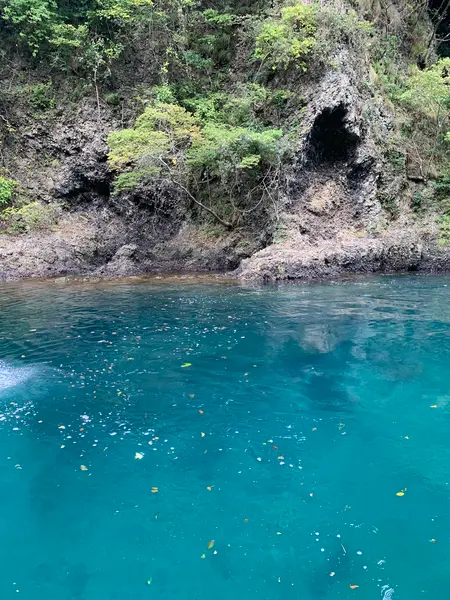 モーターボートで