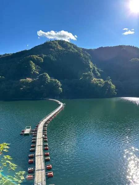 「麦山の浮橋」が見えるスポット