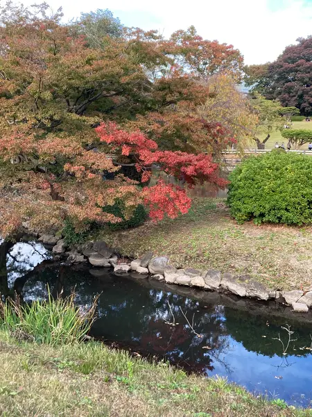 紅葉の日本庭園