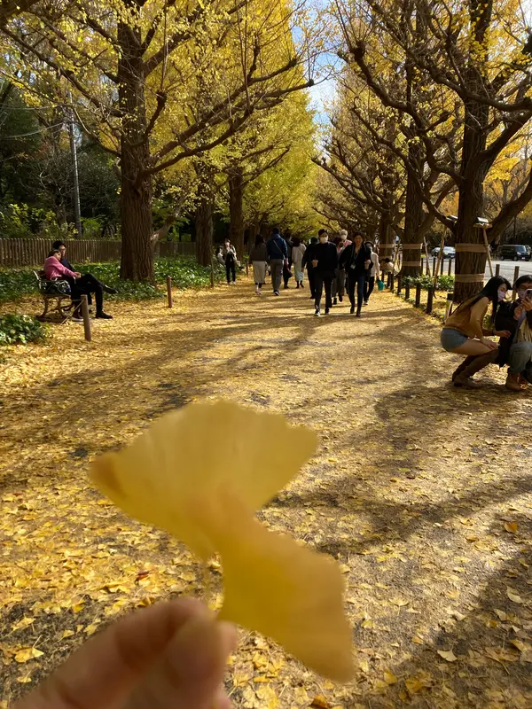 (2022)11月24日現在