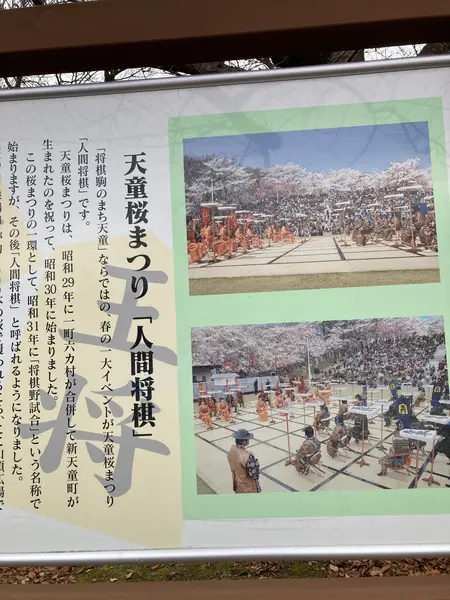 桜の季節には人間将棋