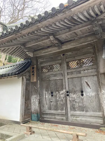 門にサンマ？