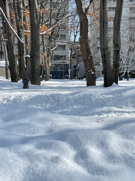 中島公園内から