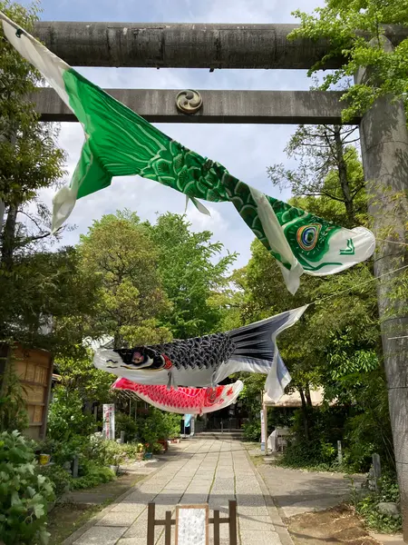 鯉のぼり