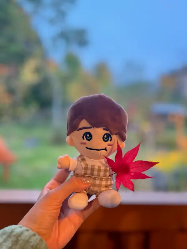 紅葉🍁