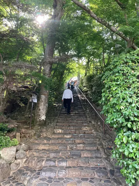 まだ階段を登るよ〜
