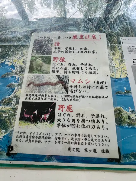 スポット内のおすすめ
