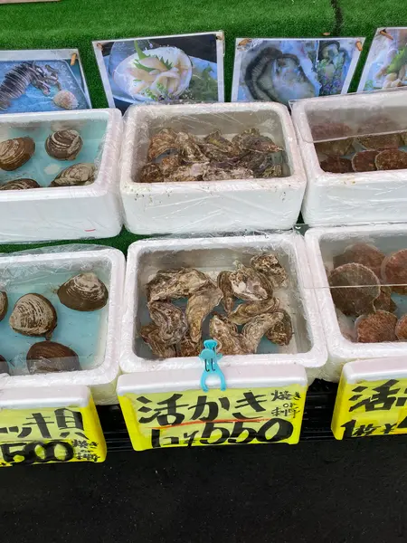 スポット内のおすすめ