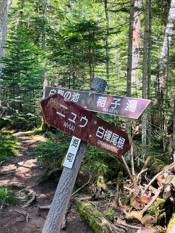 稲子湯へ