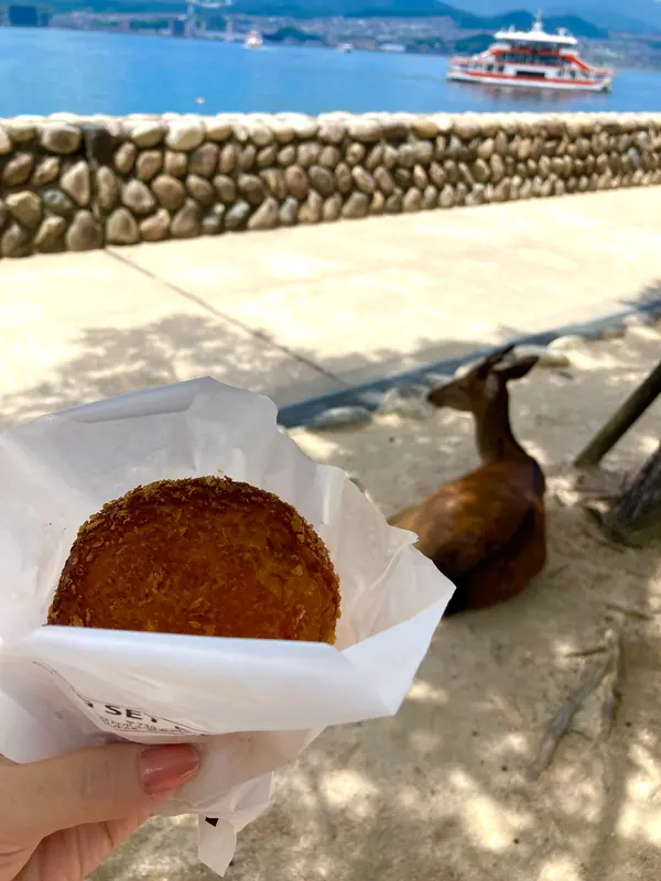 スポット内のおすすめ