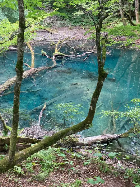 沸壺の池
