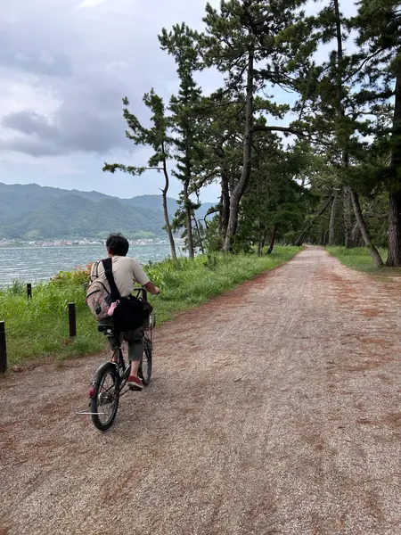 帰りは松林の中を自転車で