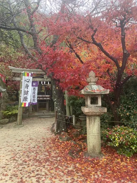 神社内の紅葉
