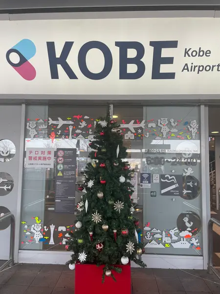 クリスマスはどこも🎄