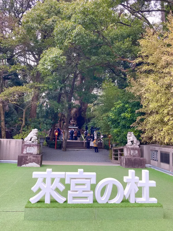 スポット内のおすすめ