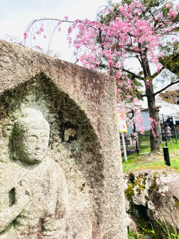 見どころたっぷりの釈迦堂へぜひ