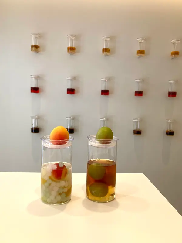 スポット内のおすすめ