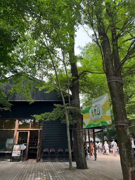 スポット内のおすすめ