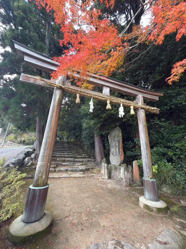 紅葉の紅葉と鳥居⛩️