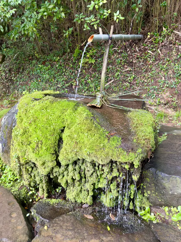 手水舎
