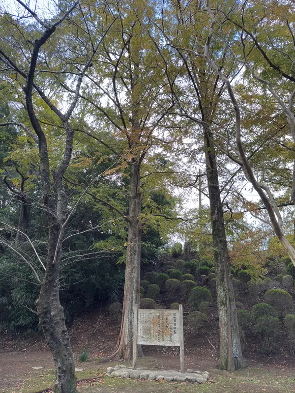 昭和天皇御製歌