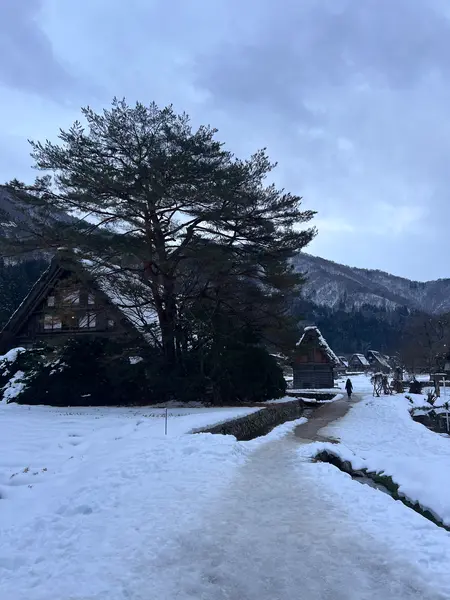 和田家