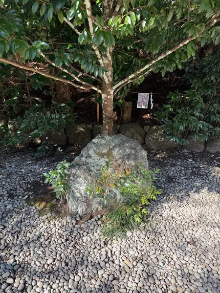 四つの天から振った石④