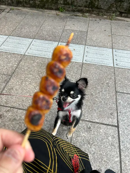 みたらしだんこ