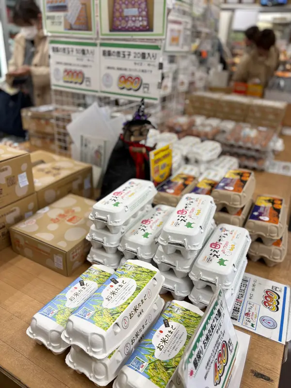 スポット内のおすすめ