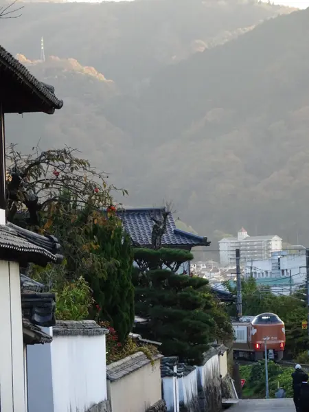 素敵な列車が通りました