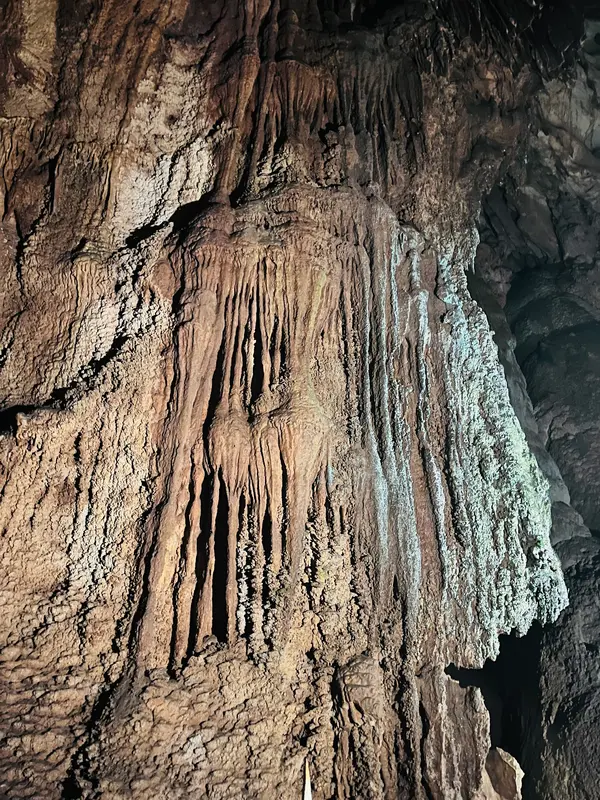 くらげの滝のぼり・五月雨御殿