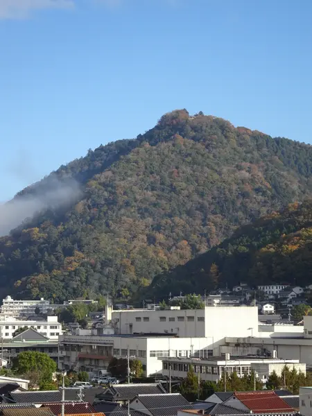 ホテルから見る備中松山城