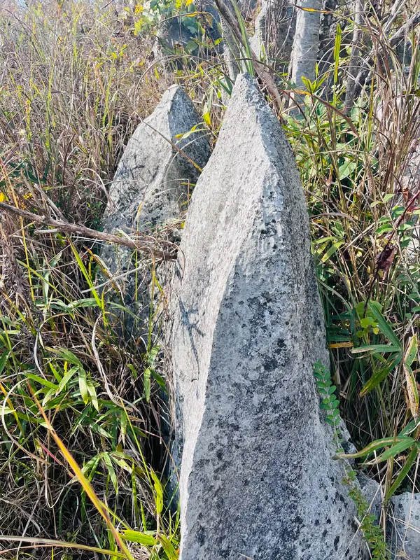 🔪ナイフエッジ😱