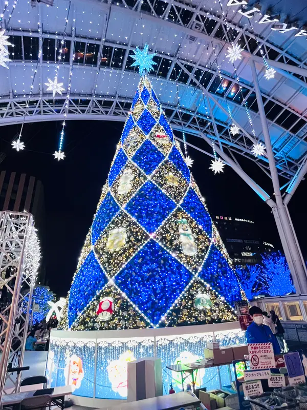 🌲光の街・博多
2025年11月1日(土)～2026年1月12日(祝)