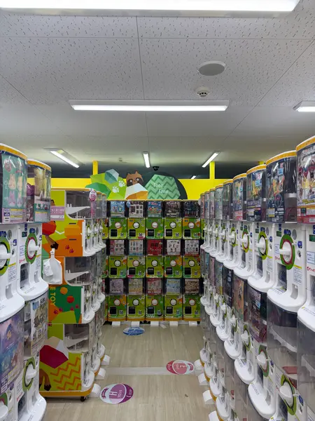 スポット内のおすすめ