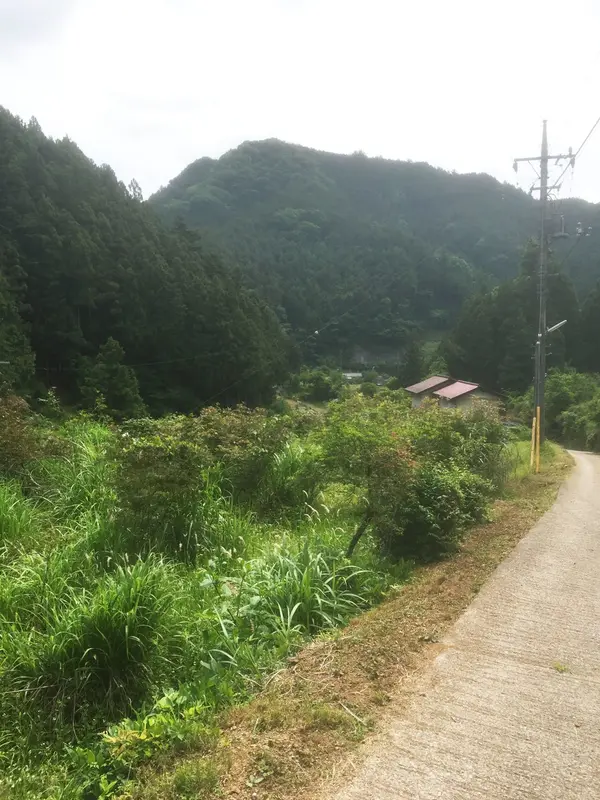 山里の風景