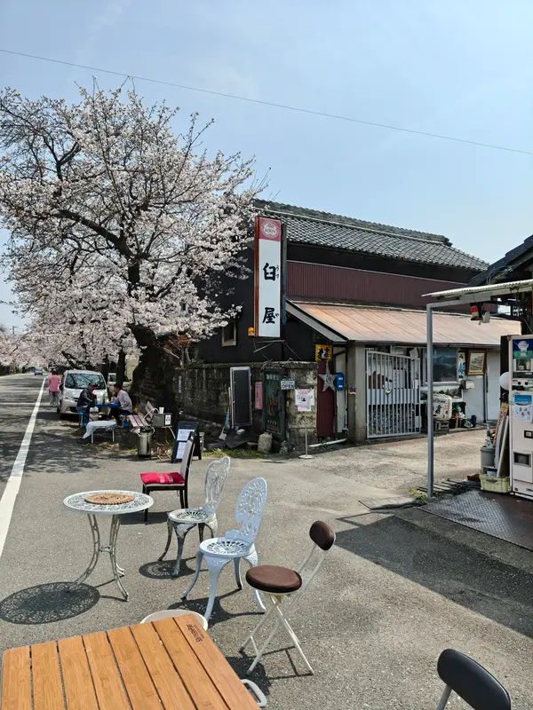 なにはともあれ花見酒です