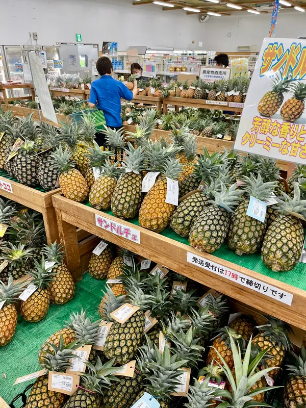 スポット内のおすすめ