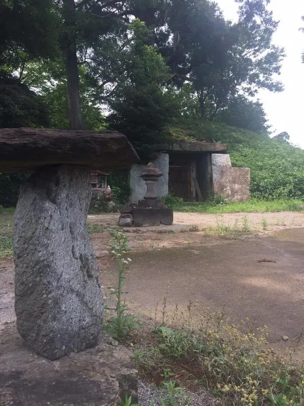 エリンギ！？