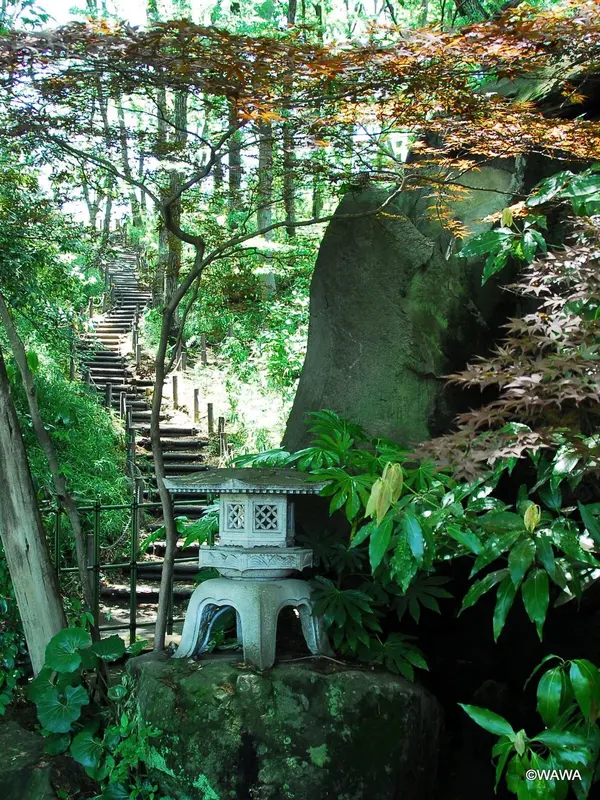隣接する赤塚城跡と徳丸ケ原