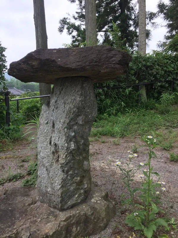 しめじ？