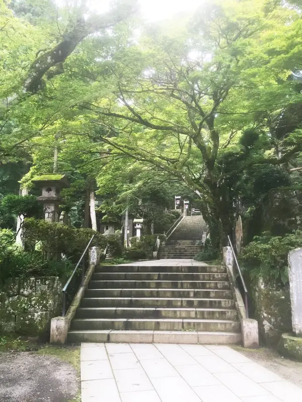 緑が美しい