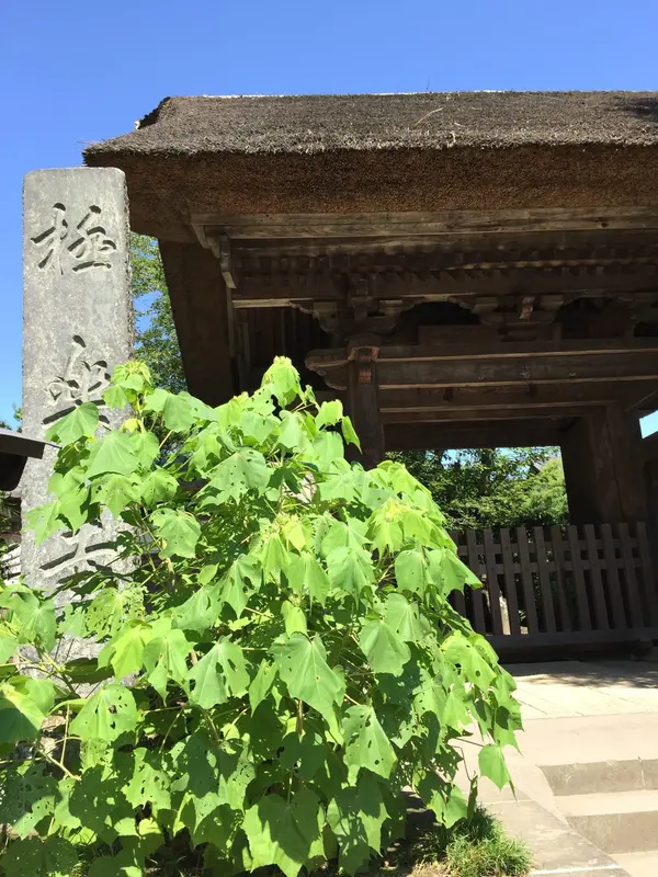 駅名ではなく
