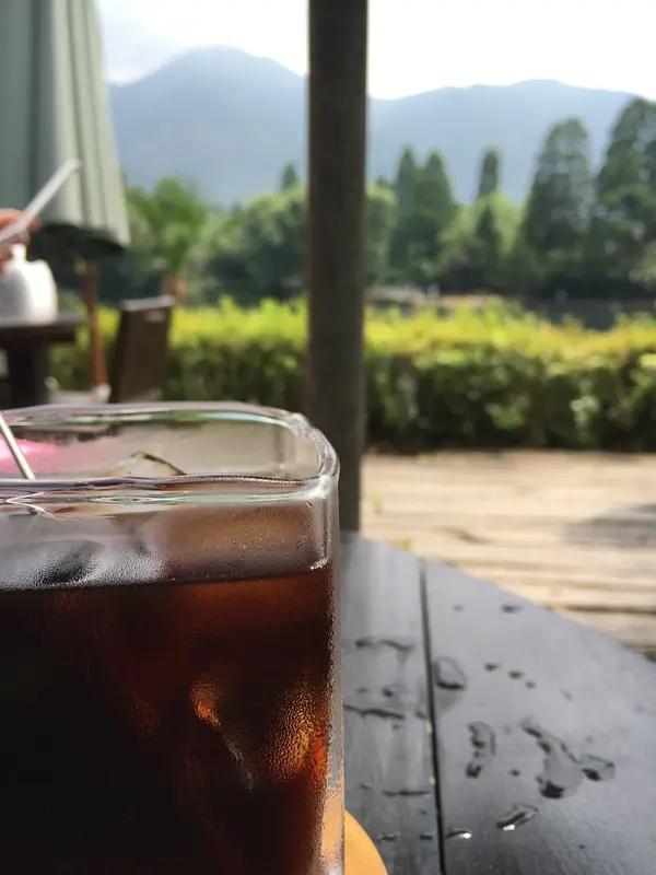 ワンコ達と金鱗湖を眺めながらカフェのテラスで休憩☕️