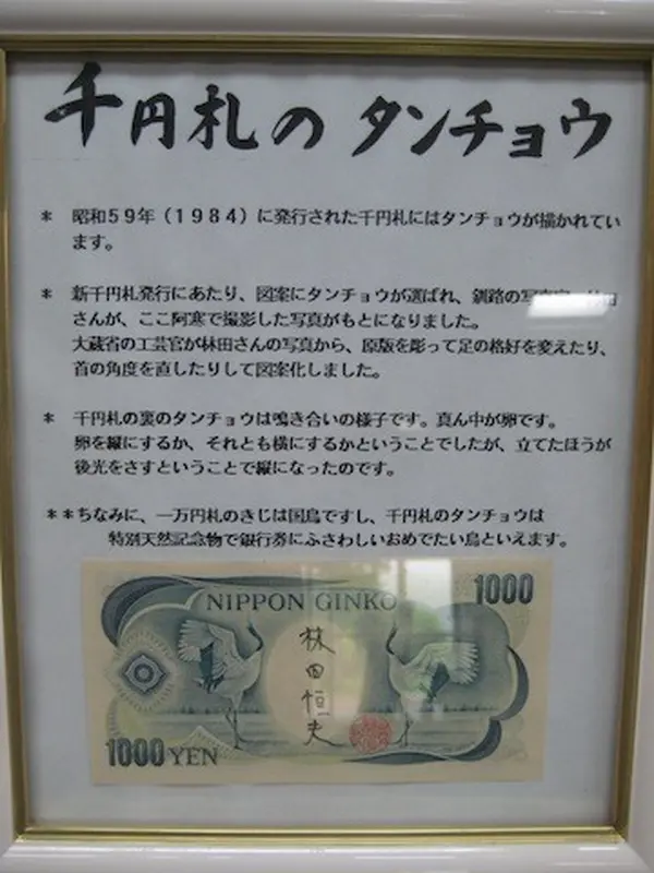 千円札のタンチョウ